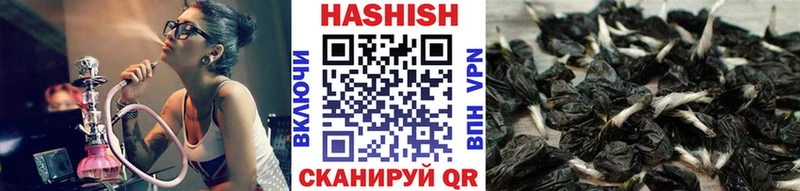 ГАШ ice o lator  цены   Новошахтинск 
