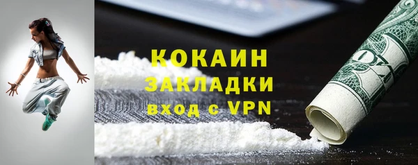 хмурый Магас