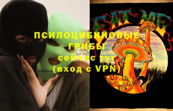 спайс Алексин
