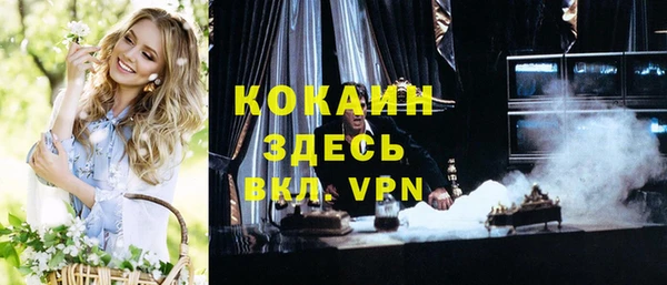 спайс Алексин