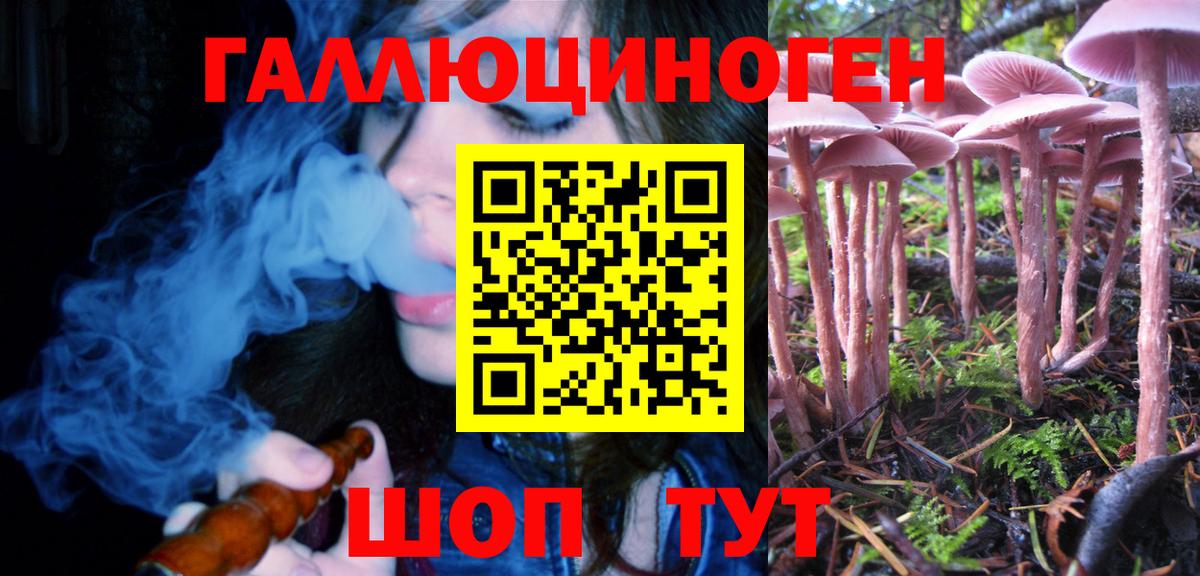 Галлюциногенные грибы Magic Shrooms Новошахтинск